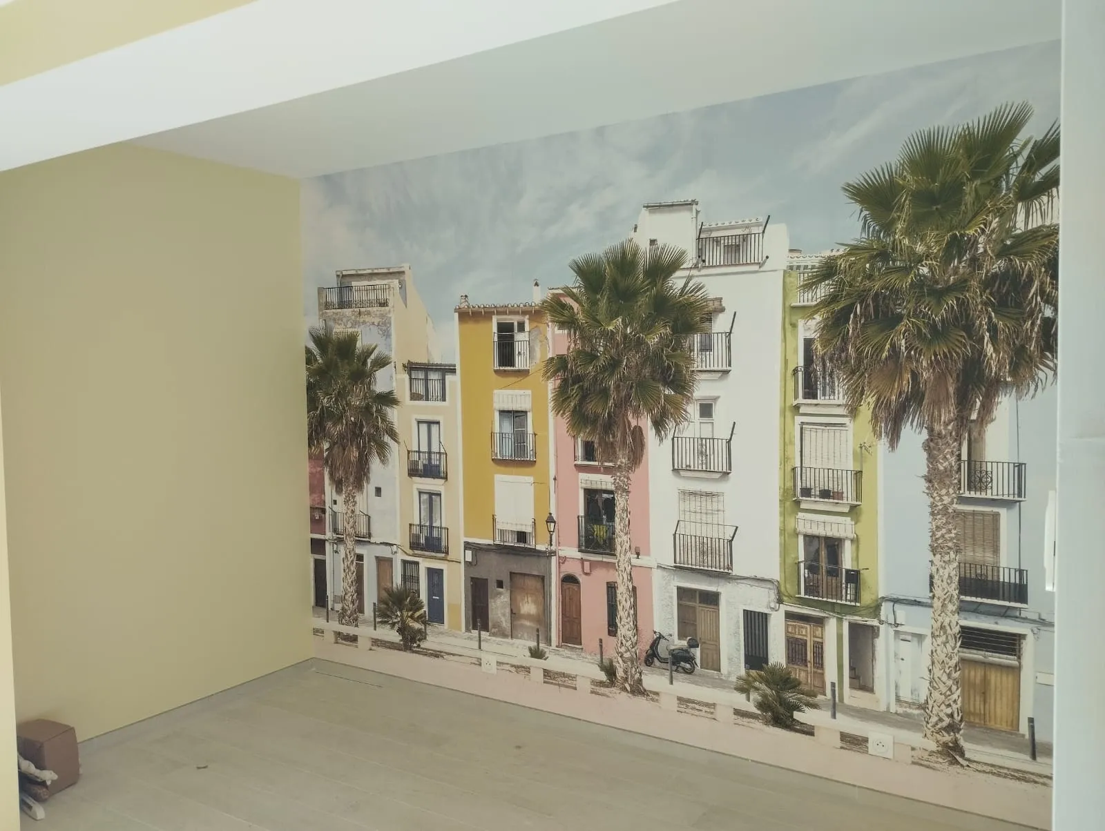 Pose de panoramique mural et mise en teinte du séjour